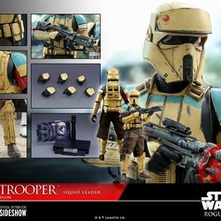 Hot Toys MMS592 Shoretrooper Squad Leader Star Wars Rogue One 1/6 Figure