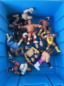 Hasbro WWF Wrestling Figures With Case