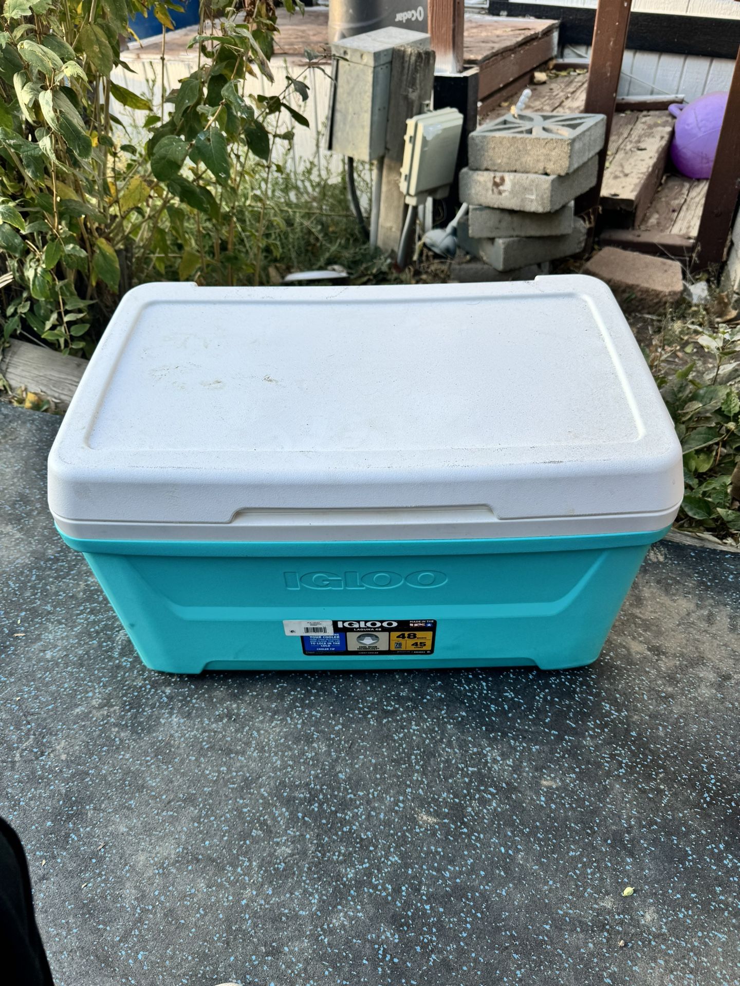 Igloo Cooler