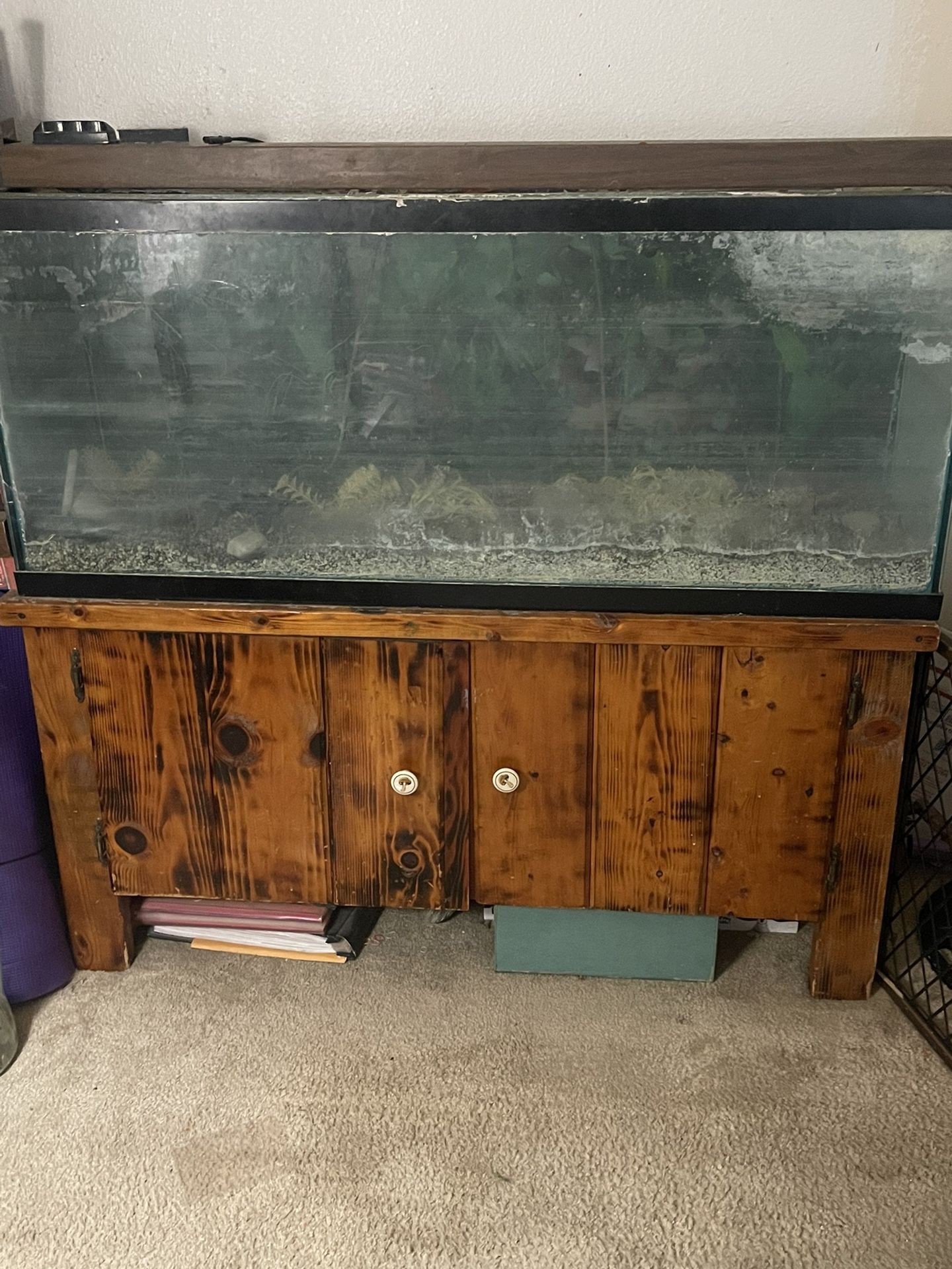 60 Gallon Show Fish Tank