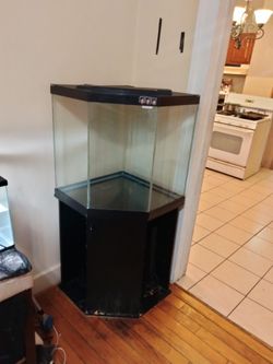 Fish Tank