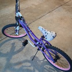 2 Girls 20in Bicycles