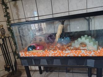 Big tank used.