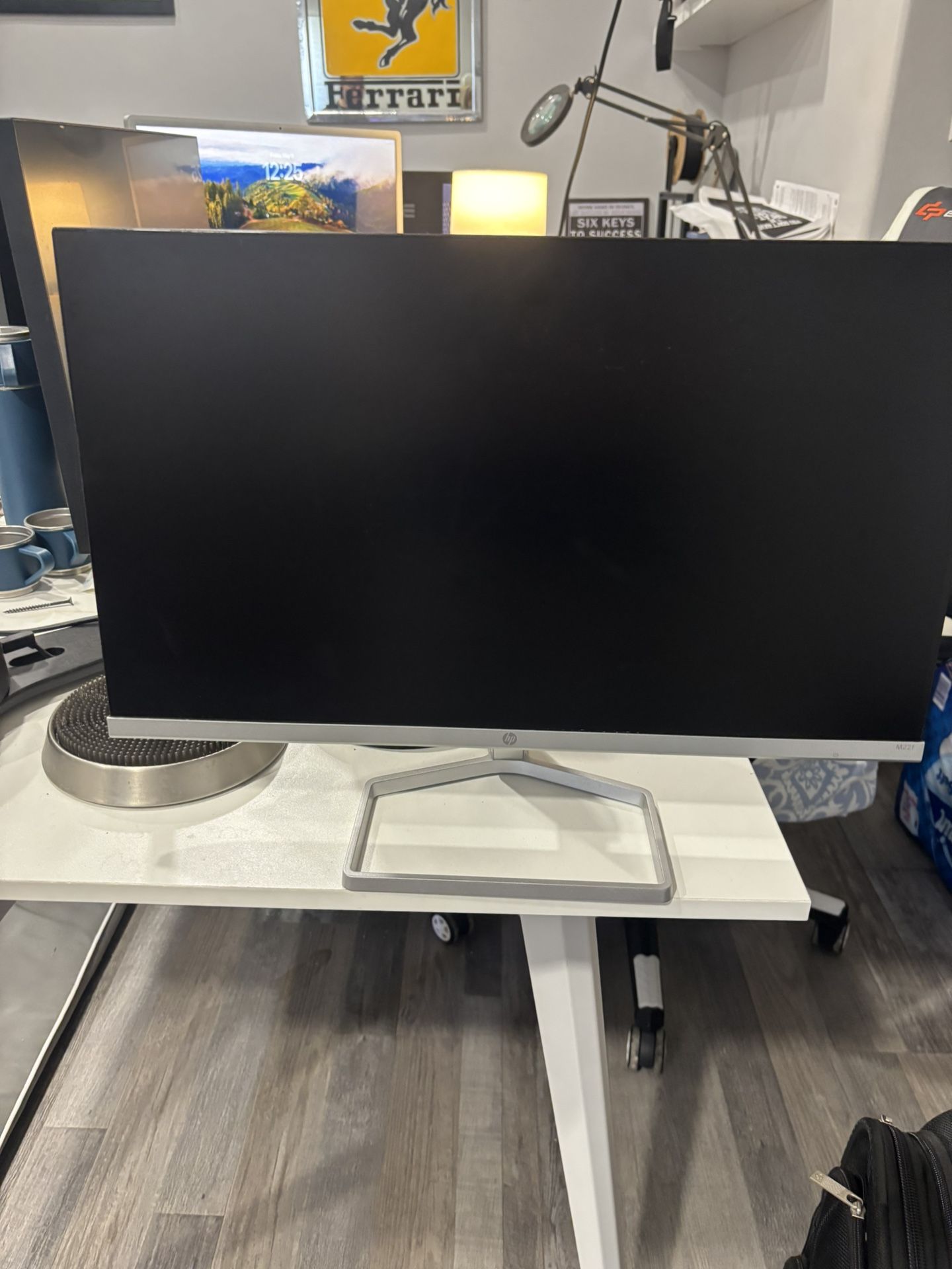 HP Computer Monitor