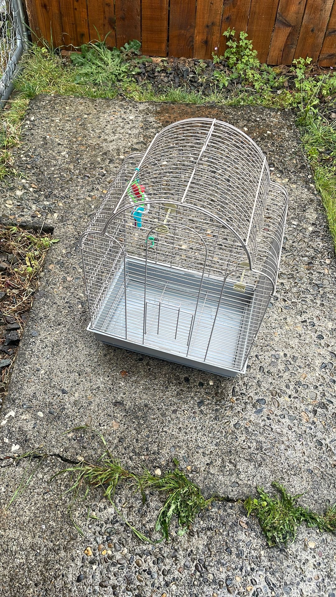 Bird Cage