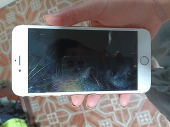 iPhone 6