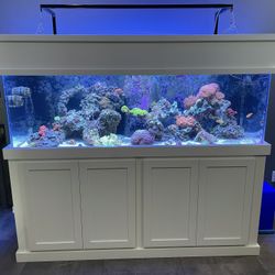 180 Gallon Reef Aquarium 