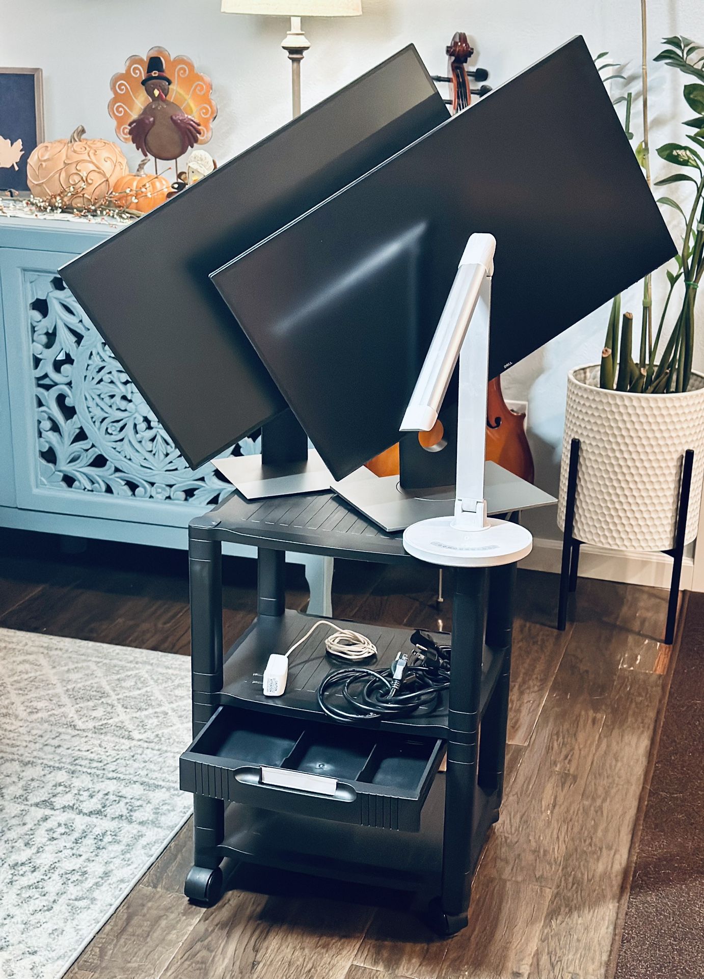 Work-from-Home Essentials: Dual Monitors, Desk Lamp & Printer Cart!