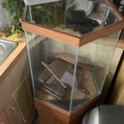 30g Fish Tank 