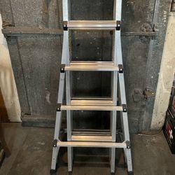 ladder