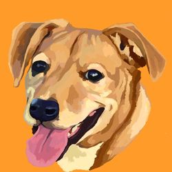 Pet Portraits 