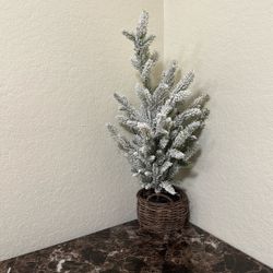 Vibrant Medium-Sized Colorful Plant Pot 🌿🌈✨