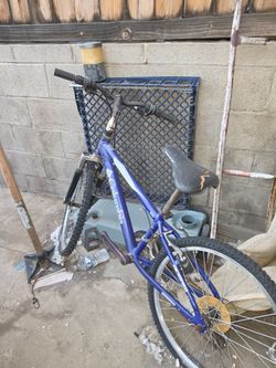 24" Bikes.