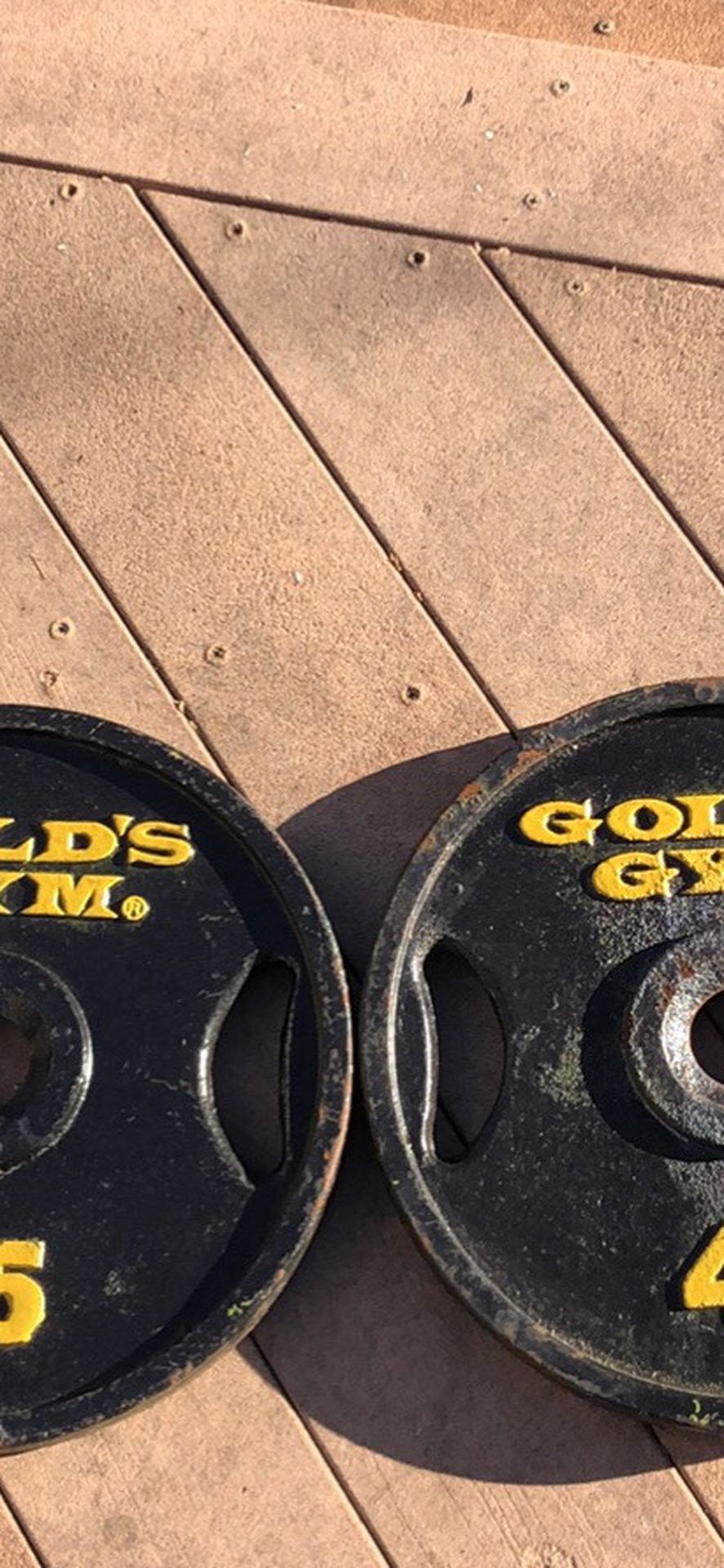 Gold’s Gym 45lb Olympic Weight Plates