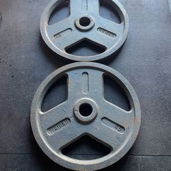 45 lbs Olympic Weights Plates…. Home Gym Fitness…. I have two  different sets…
