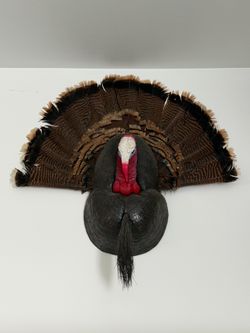 Tom turkey mount