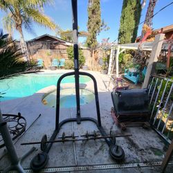 Everlast Stand and Weights 