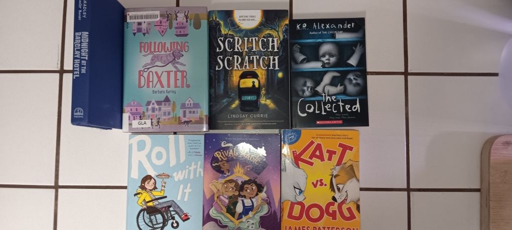 Chapter Books LOT Ages 10 And Up