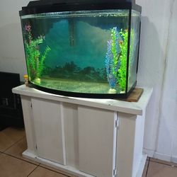 Fish Tank