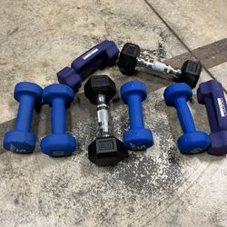 5 Pound Weight ($6 Dollar Each)