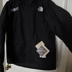 The North Face Mountain