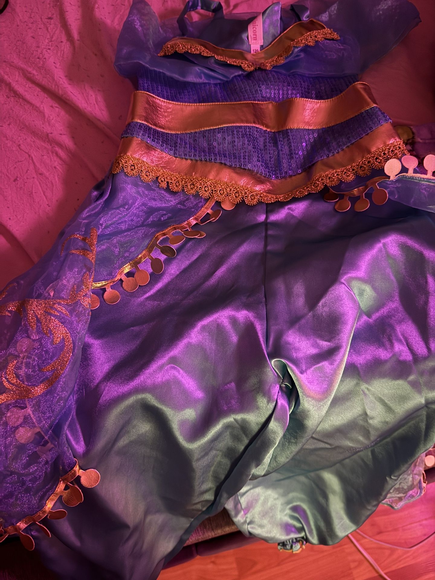 Princess Costumes Dresses And A Unicorn One Brand New. Asking $40 For All.