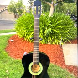 Brand New Guitar