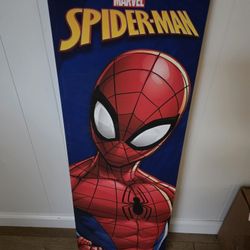 Spiderman Canvas $10