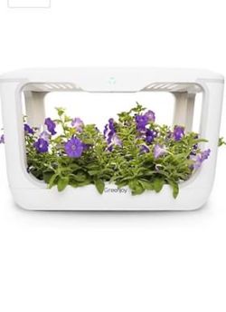 Indoor herb garden kit
