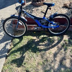 Trek 20 Boys Bike 