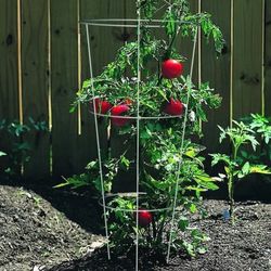 Tomato Cages And Tools 