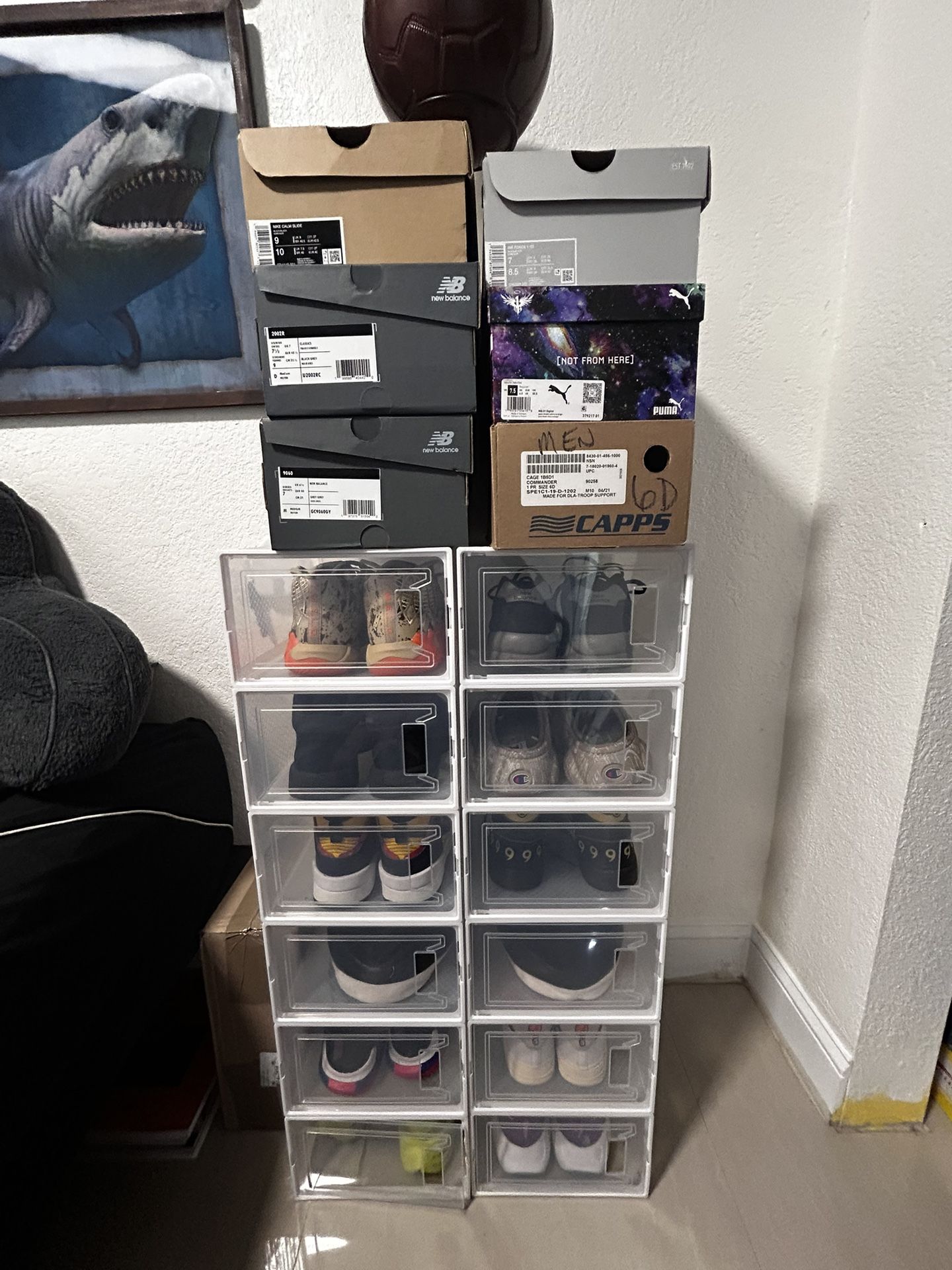 Protective Case For Shoes