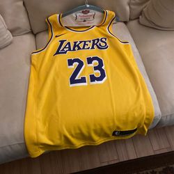 Lebron James Nike Lakers Jersey