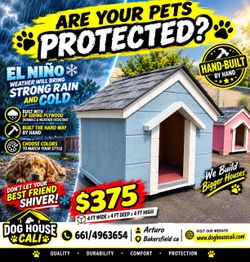 Dog house 🌧️ Winter