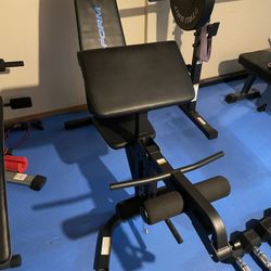 Pro Form Bench