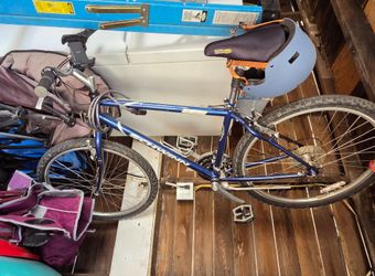 Mens Bike