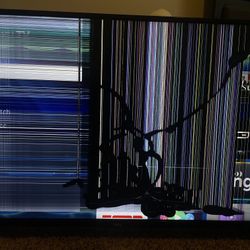 Broken Roku TV