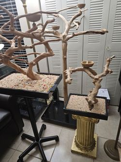 java tree perch