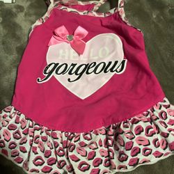 Dog Clothing 