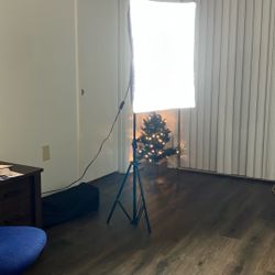 Light Box For TikTokers