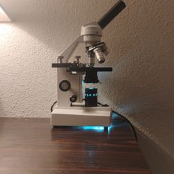 Microscope