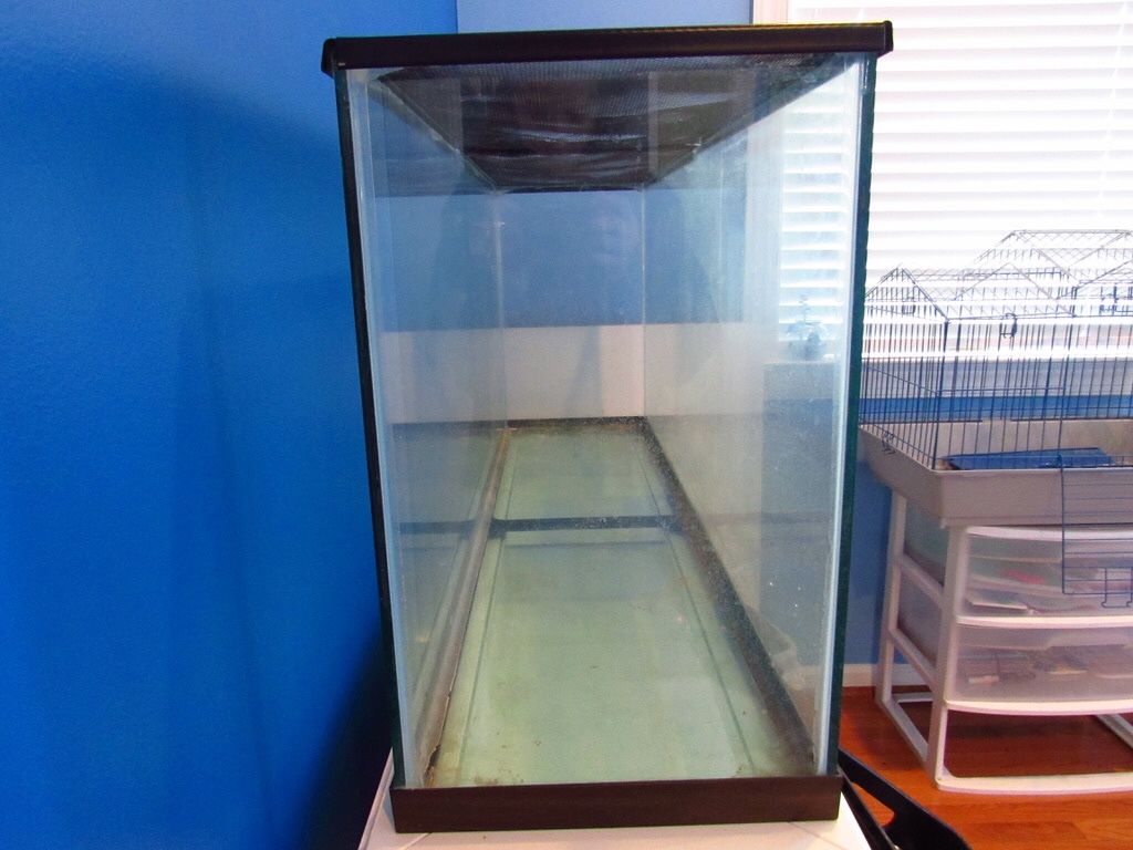 Large tank with screen top