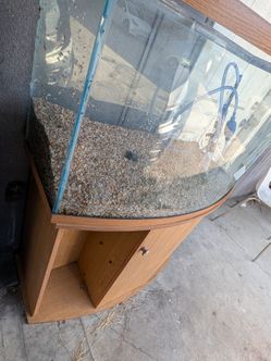 Fish tank