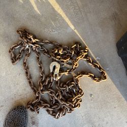 Chain with hooks 20 feet