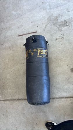 Everlast Heavy Punching Bag