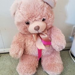 PLUSH TEDDY BEAR 🧸