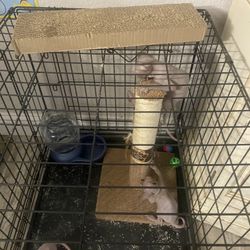 Pet Cage