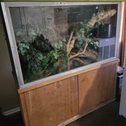 Custom Reptile Enclosure 