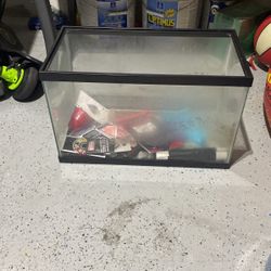 Fish Tank Need A Good Cleaning 