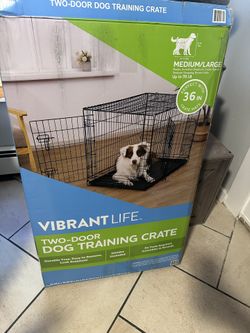 Dog Crate 